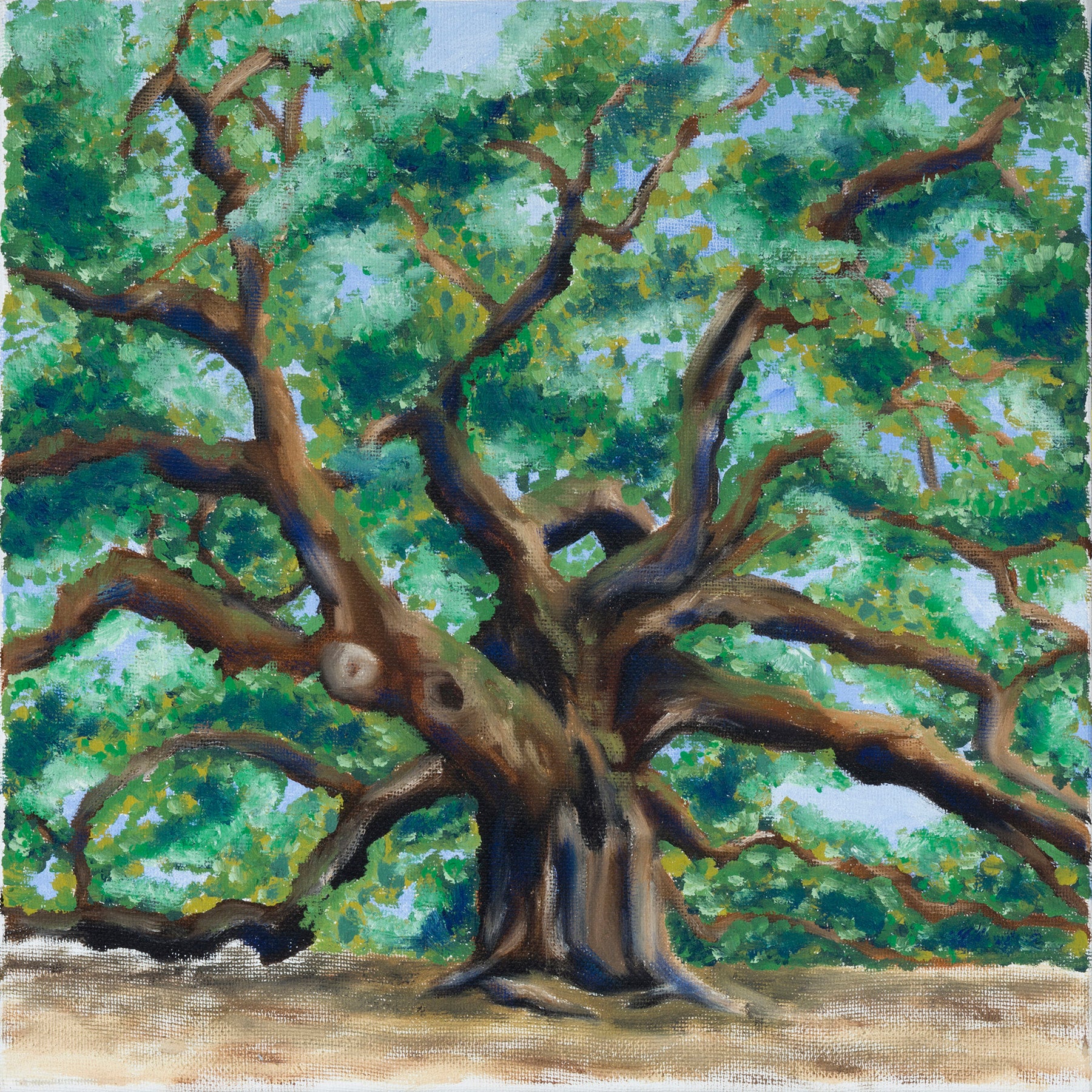 angel oak tree oil painting